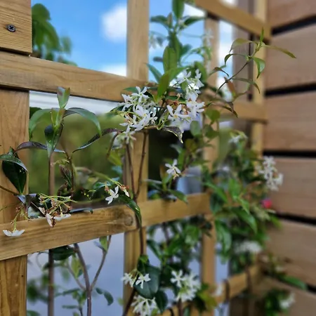 Tetchalet Met Wellness Tuin Dağ evi