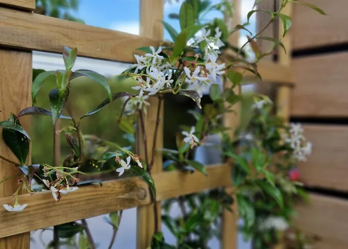 Tetchalet Met Wellness Tuin Chalet