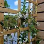 Tetchalet Met Wellness Tuin Horská chata
